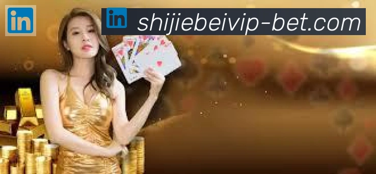 企业概况
