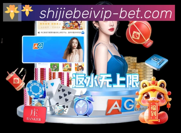 未来规划